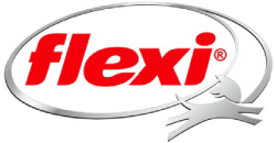 Logo Flexi